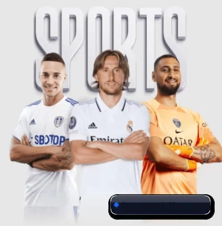bsport体育官网入口 APP