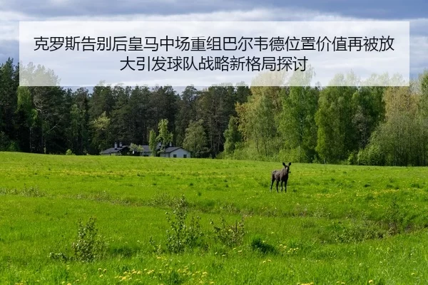 克罗斯告别后皇马中场重组巴尔韦德位置价值再被放大引发球队战略新格局探讨