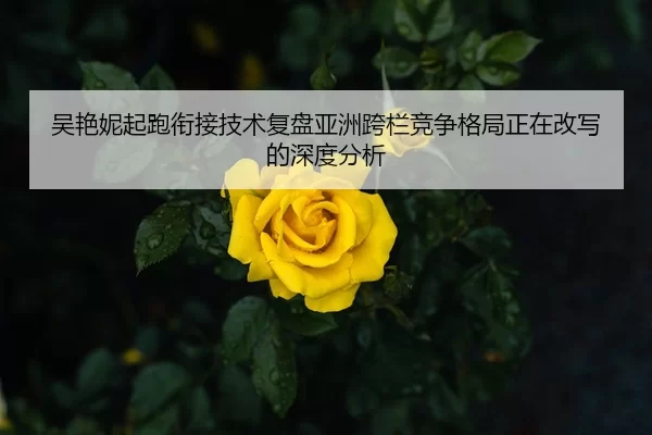 吴艳妮起跑衔接技术复盘亚洲跨栏竞争格局正在改写的深度分析