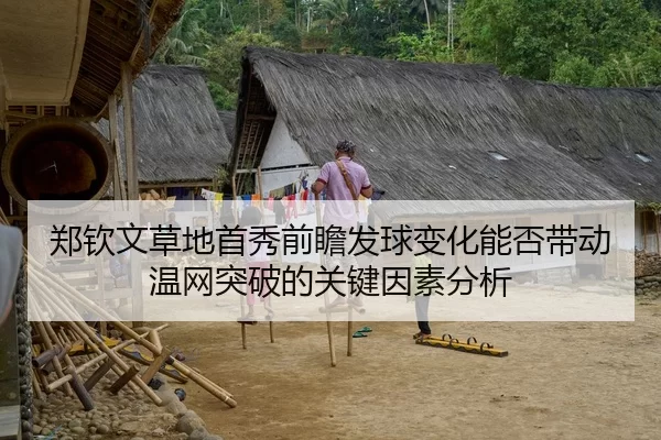 郑钦文草地首秀前瞻发球变化能否带动温网突破的关键因素分析
