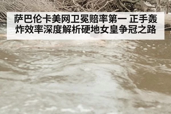 萨巴伦卡美网卫冕赔率第一 正手轰炸效率深度解析硬地女皇争冠之路